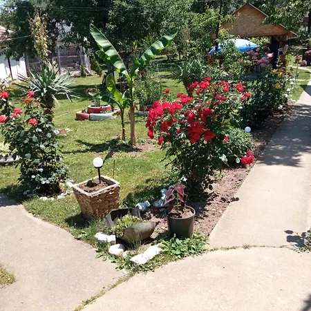 Seosko Turisticko Domacinstvo Milanovic *