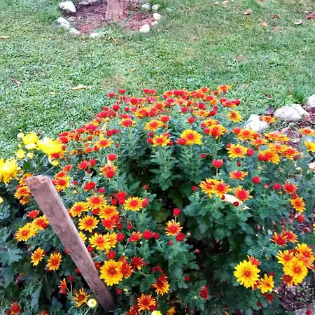 Seosko Turisticko Domacinstvo Milanovic *